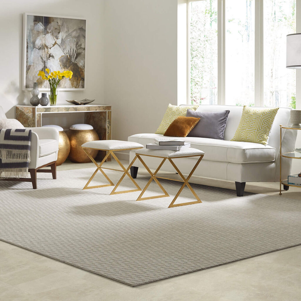 Area rug | Nampa Floors & Interiors