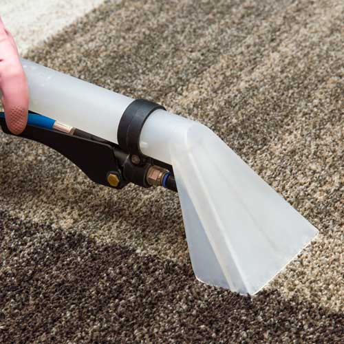Carpet care | Nampa Floors & Interiors