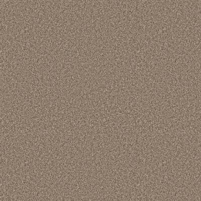 Elevated III-Rodeo | Nampa Floors & Interiors