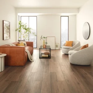 Luxury Vinyl Living Room | Nampa Floors & Interiors